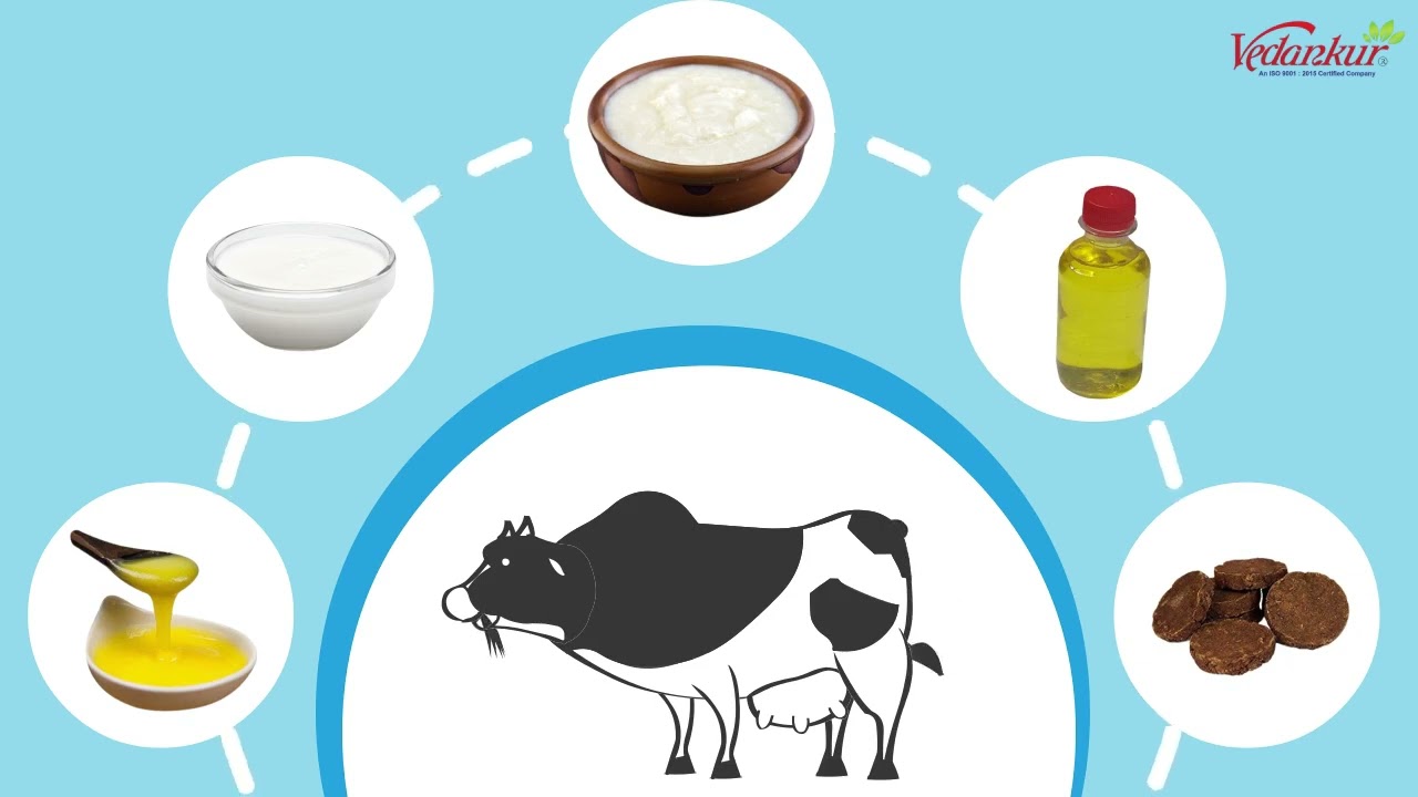 Vedankur Panch Gavya Soap Animation Explainer Video Maker - AdWebMedia, Kolhapur, Maharashtra.