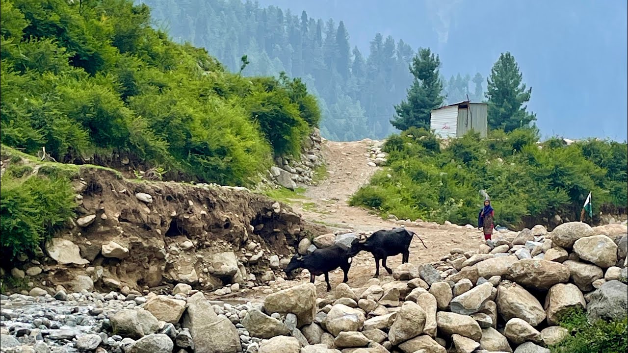 Gabin jabba, Swat Pakistan|| Lily vlogs
