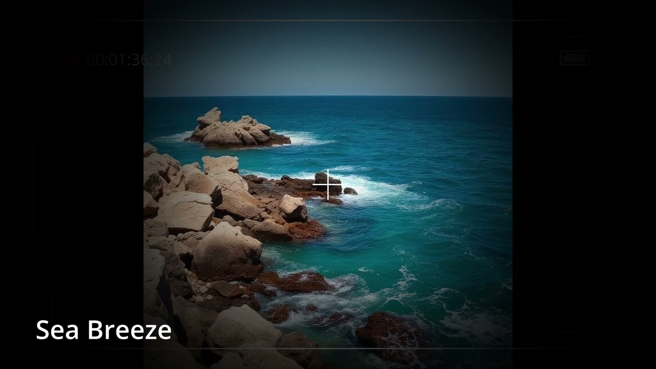 Sea Breeze