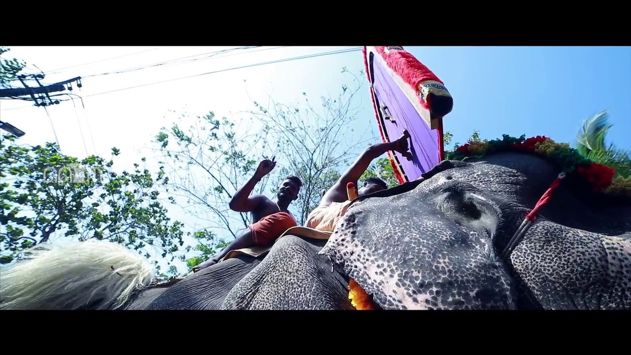 chalissery pooram 2017 promo song ! പൂരം അയ്നാണ്! pooram aynaanu