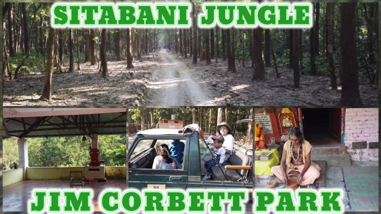 Sitabani Jungle Safari||Sitabani Temple||Sitabani Forest Reserve||Jim Corbett ||Travel Mithu||