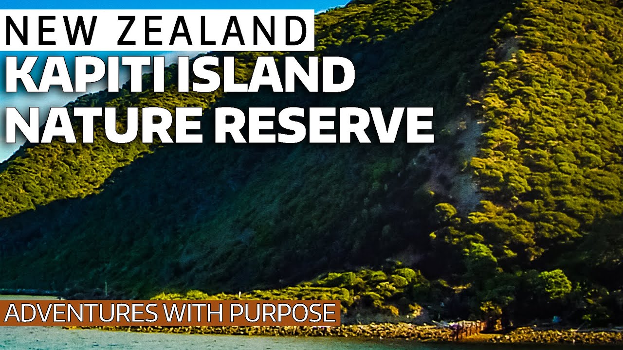 NEW ZEALAND Kapiti Island Nature Reserve