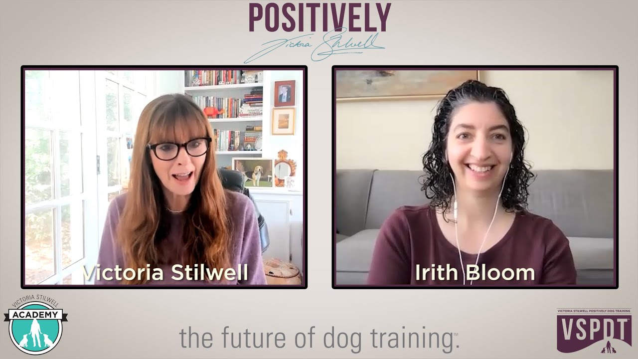 Dealing with excessive barking (a conversation with Irith Bloom)