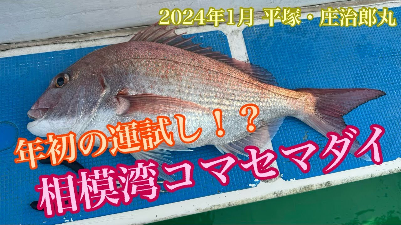 新年初釣りは運試し!?相模湾コマセマダイ（平塚・庄治郎丸）Try your luck on your first red sea bream fishing trip of the new year.