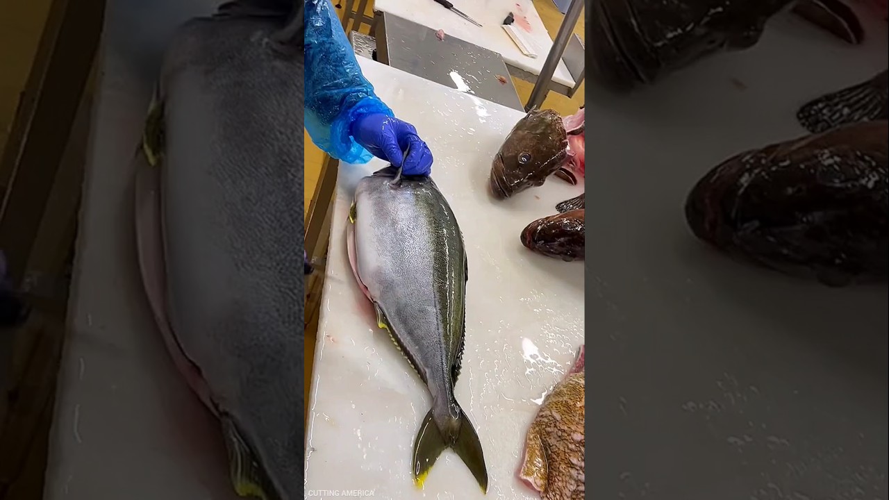 Amazing Hamachi Fish Cutting By Expert Fish Cutter || #shorts