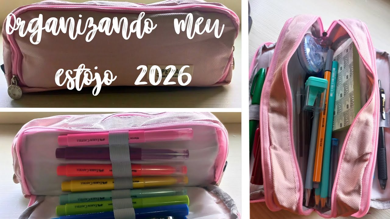 Organizando meu estojo de 2026🖊📓✏️