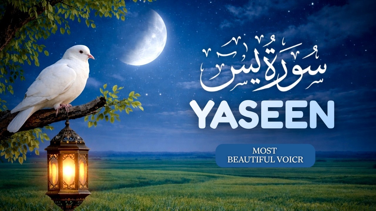Ramadan Quran Live 🔴| Surah Yaseen سورة يس | Most Beautiful Voice | Quran for Peace | UMU TV
