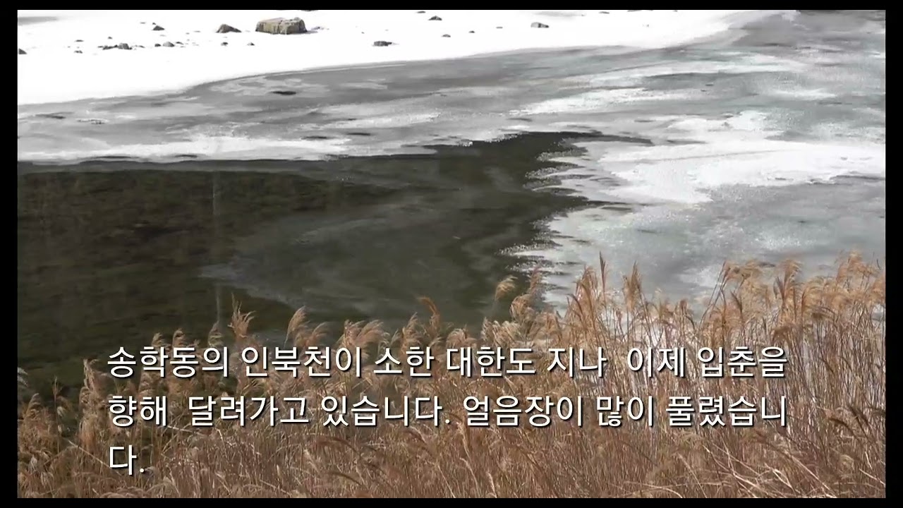 송학동의 인북천이 소한 대한도 지나&nbsp;이제 입춘을 향해&nbsp;달려가고 있습니다. 얼음장이 많이 풀렸습니다.