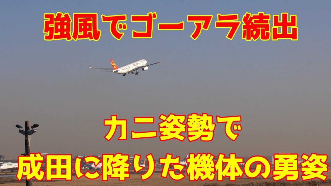 【成田空港 強風でゴーアラ続出！目的地変更も相次ぐ中、カニ姿勢で着陸した機体が凄い】2026.01.13 ４K撮影NARITA　Airport  ゴーアラ続出の成田で見せた、横向きアプローチの極み