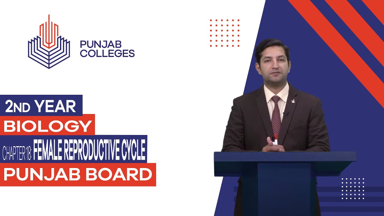 PGC Lectures - Inter Part II - Punjab Board - Biology - Chapter 18 - Female Reproductive Cycle