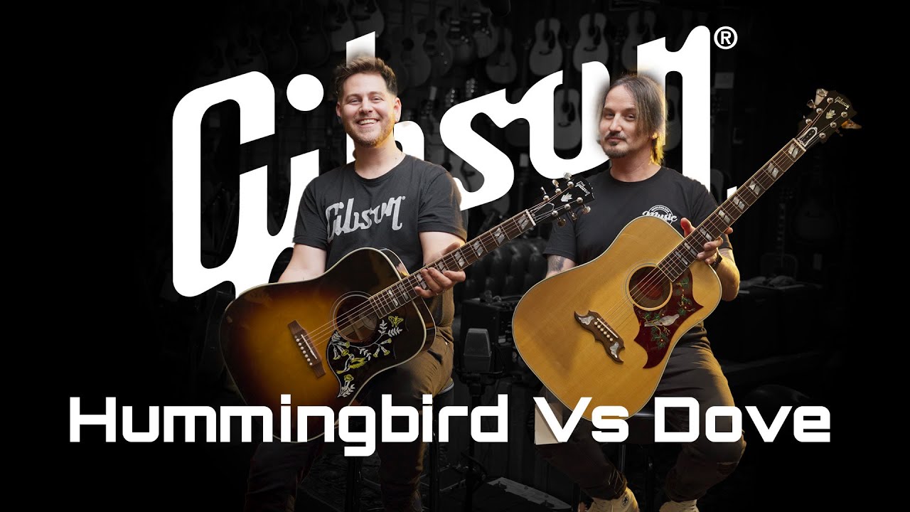 Gibson Dove против Hummingbird | Mooloolaba Music