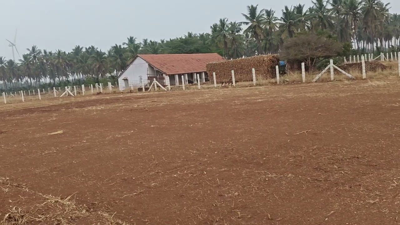 அருமையான பூமி நம்ம பெரியபட்டியில்1 ஏக்கர் மிஸ்பன்னிடாதீங்கதொடர்புக்கு9095471410