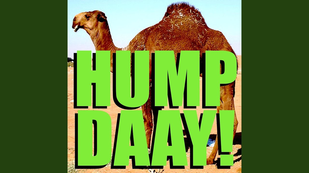Geico Camel Hump Day! Alert Tone