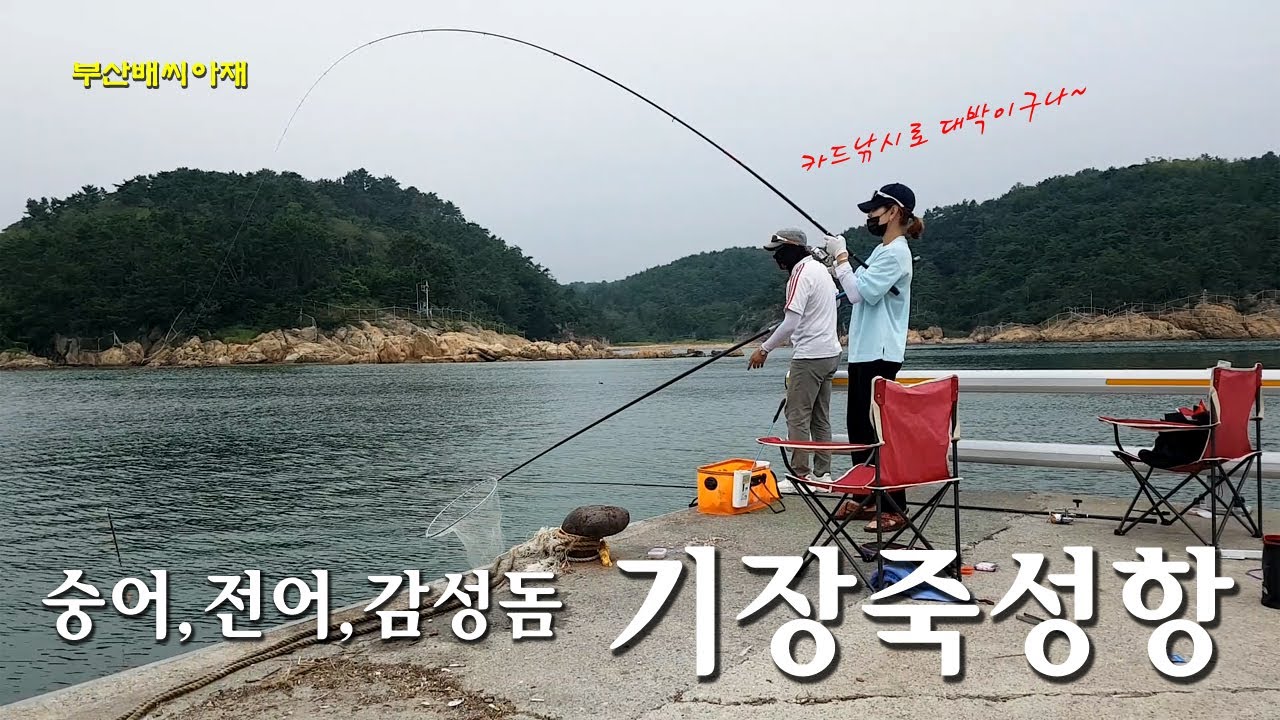 헐.. 동네방파제인데.. 대박손맛~ 숭어,전어,감성돔 카드낚시 [부산배씨아재]