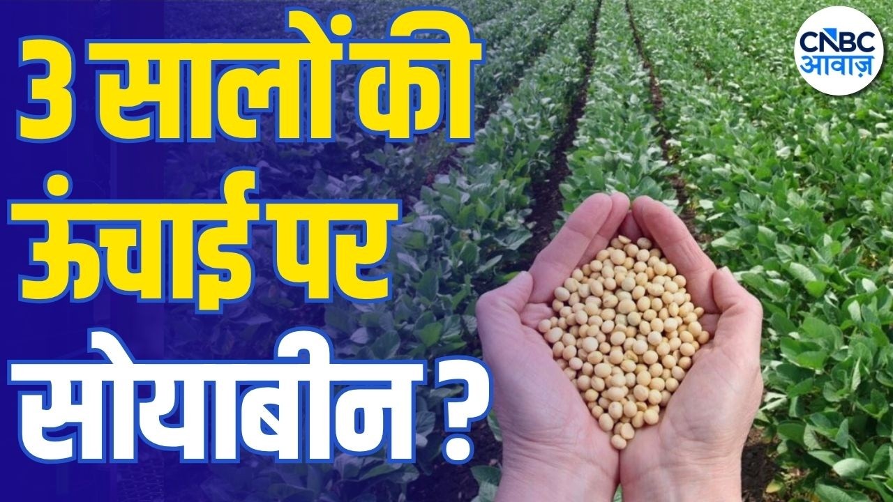सोयाबीन में जोरदार तेजी! 3 साल के हाई पर भाव | Supply, Demand & Price Outlook | Commodity Roundup