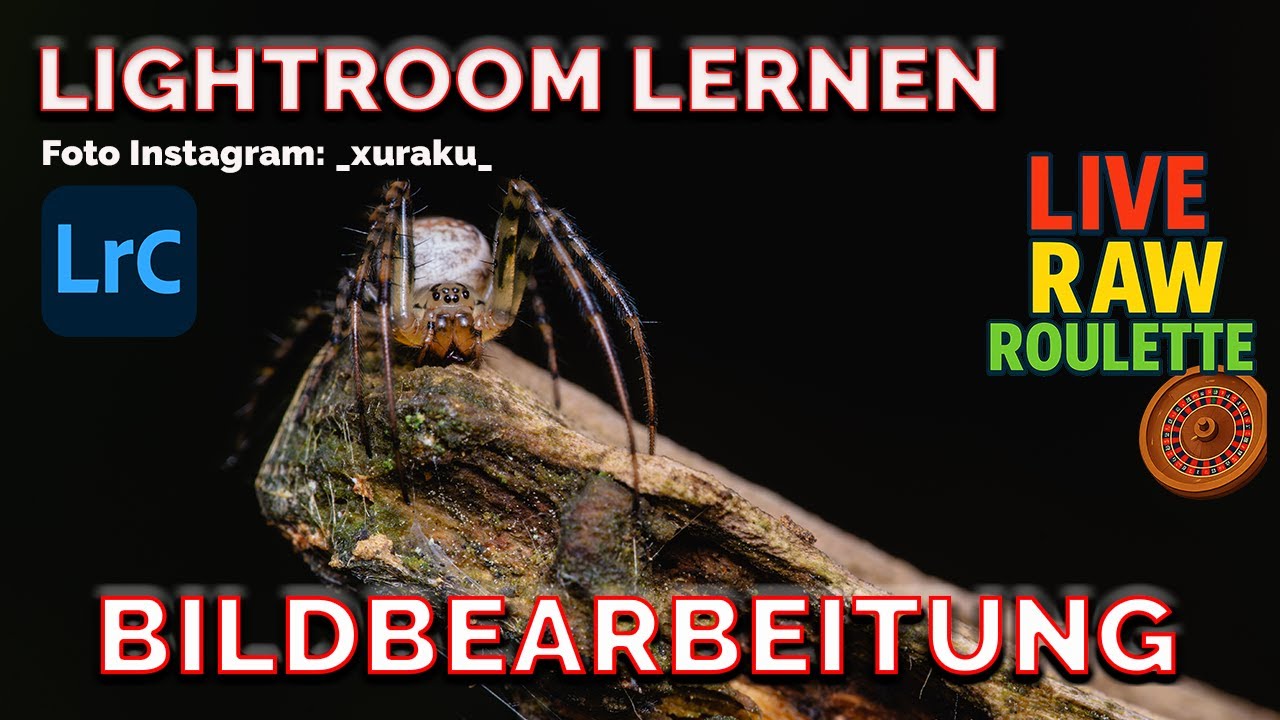 Adobe Lightroom LERNEN Bildbearbeitung - Ach was solls
