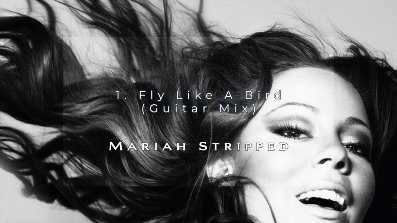 Fly Like A Bird (Guitar Mix)