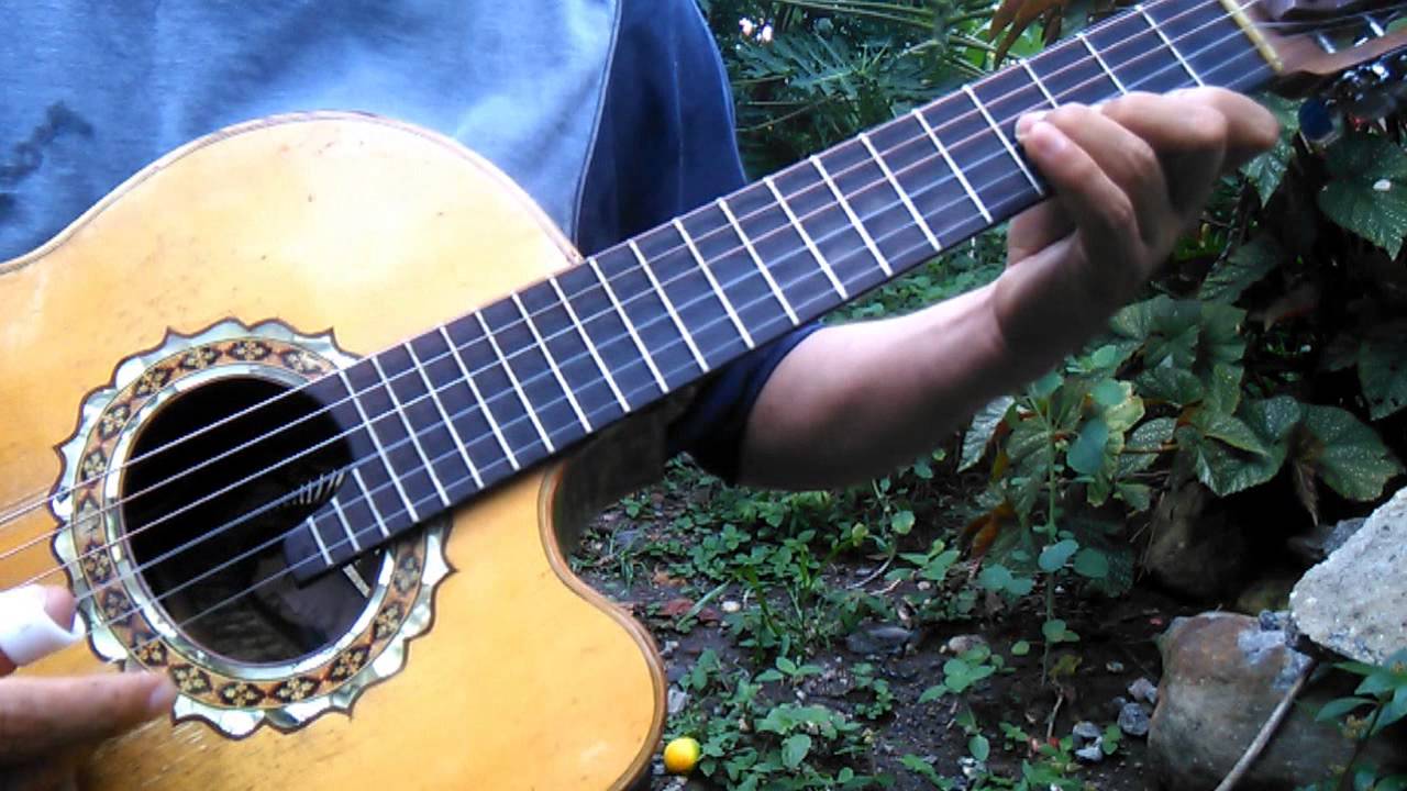 O me voy o te vas, los armadillos de la sierra Requinto tutorial y acordes