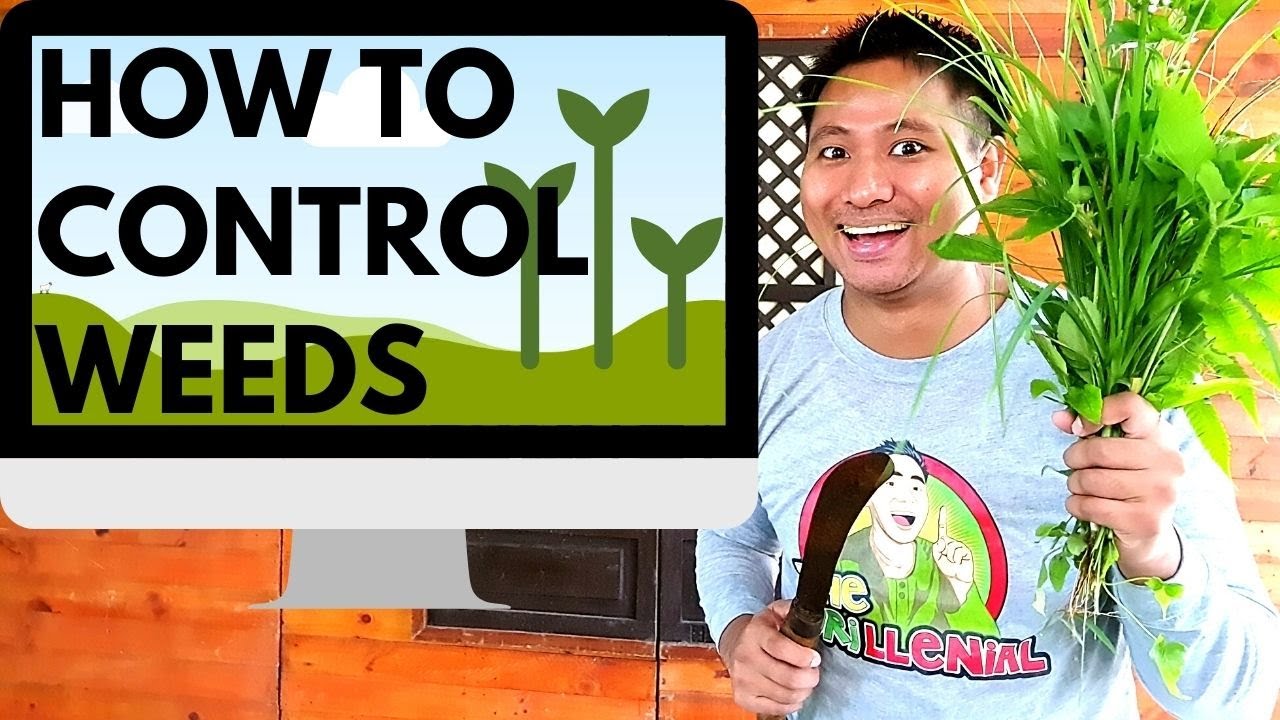 Paano Kontrolin ang mga Damo (How to Control Weeds)