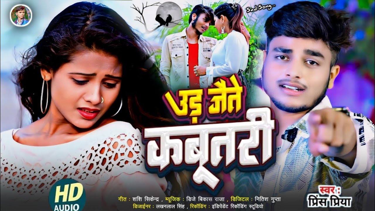 #उड़ जैते कबूतरी#bewafai sad song#NonStop viral Maithili#Prince Priya ka#2026 ka gana Jakhmi jackbox