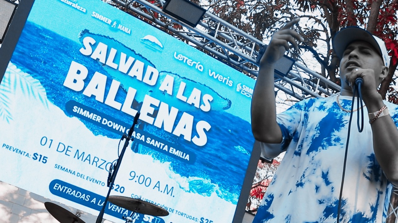 Festival SALVAD A LAS BALLENAS - 01/03/26 #simmerdown #proyectomegapterasv #elsalvador #sivarpocket