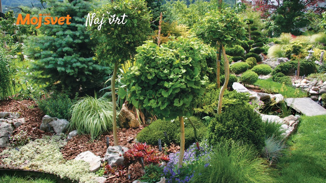 Naj vrt &ndash; izbor najlep&scaron;ega vrta leto&scaron;njega poletja