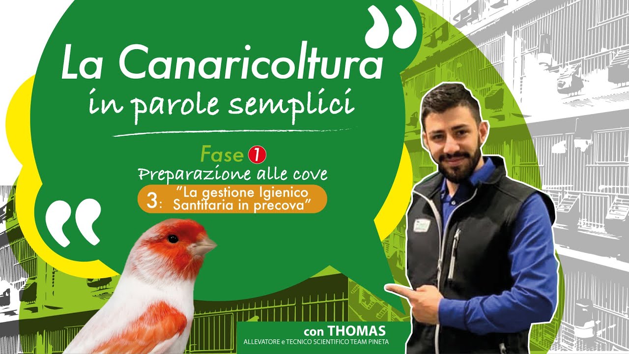 La canaricoltura in parole semplici  - 1.3 Gestione Igienico Sanitaria in precova