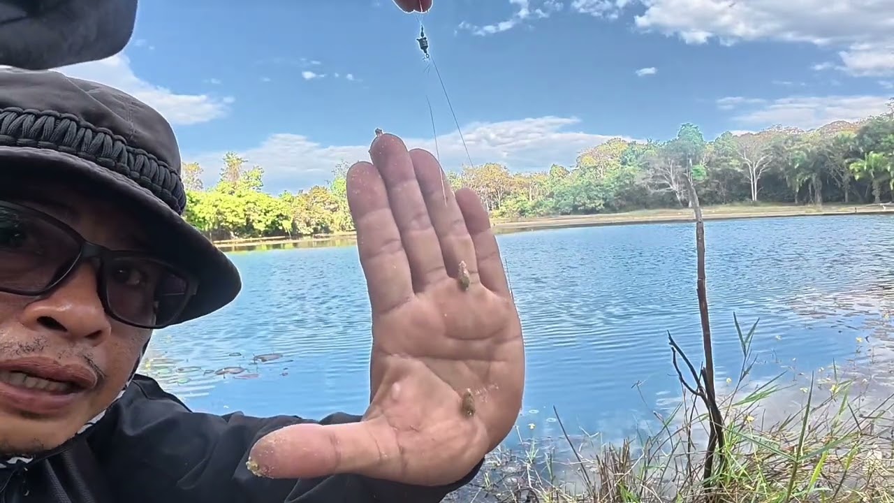 #fishing ตกปลาขาวหมายธรรมชาติ ปลากินดีมาก |พรานแป๊ะ หาอยู่หากิน