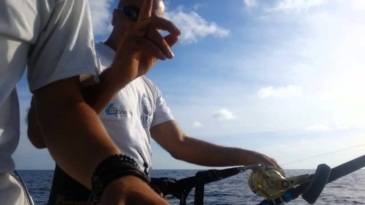 tonno 50 2013 giulio tsunami