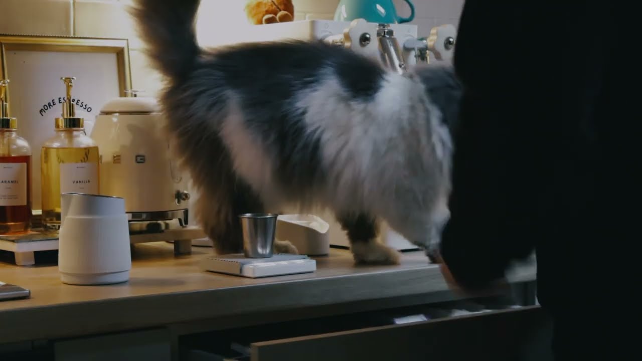 Latte mornings | Ep. 1