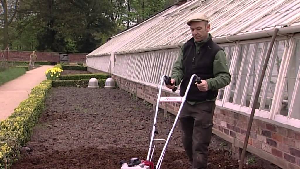 Making an onion bed