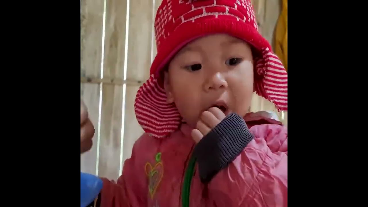 Daily Life of a Single Mother and Baby | Harvesting Forest Berries