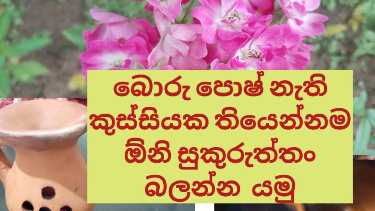 අපූරු  සුකුරුත්තං බලන්න එන්න