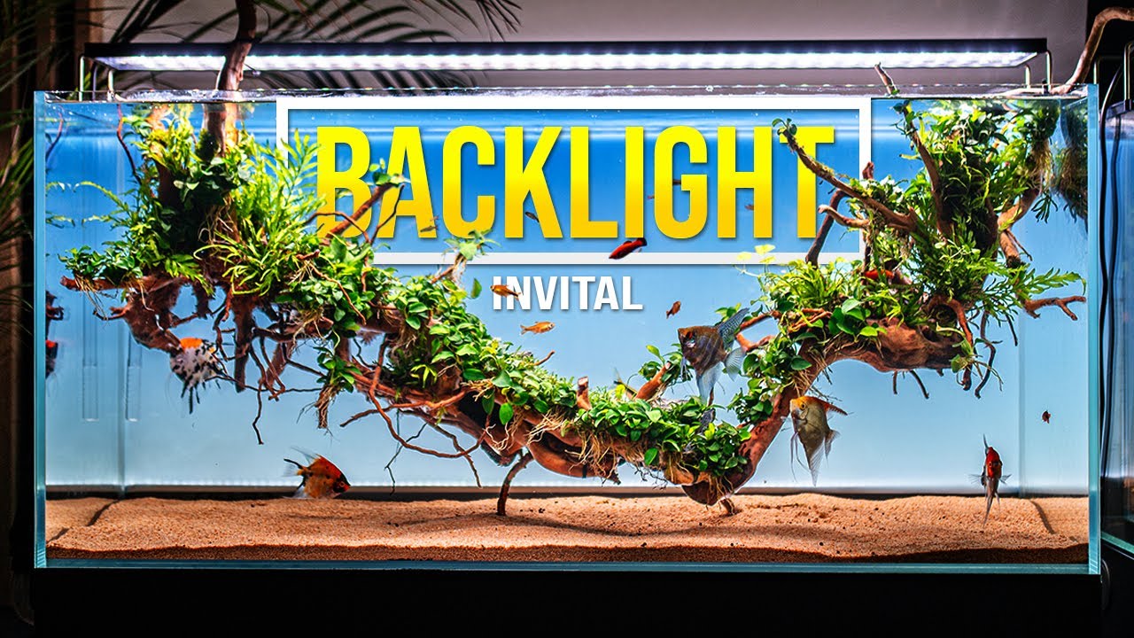 INVITAL Backlight akváriumi LED háttérvilágítás