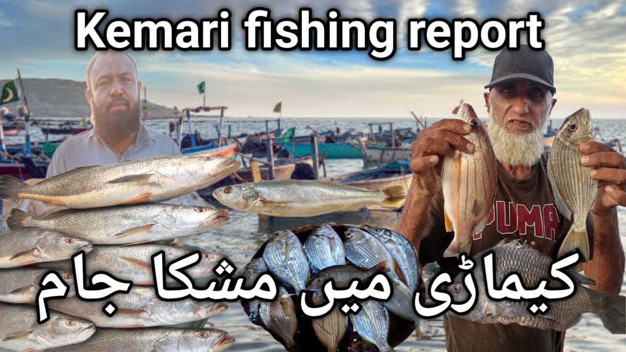 Fishing in Karachi 2025 new video