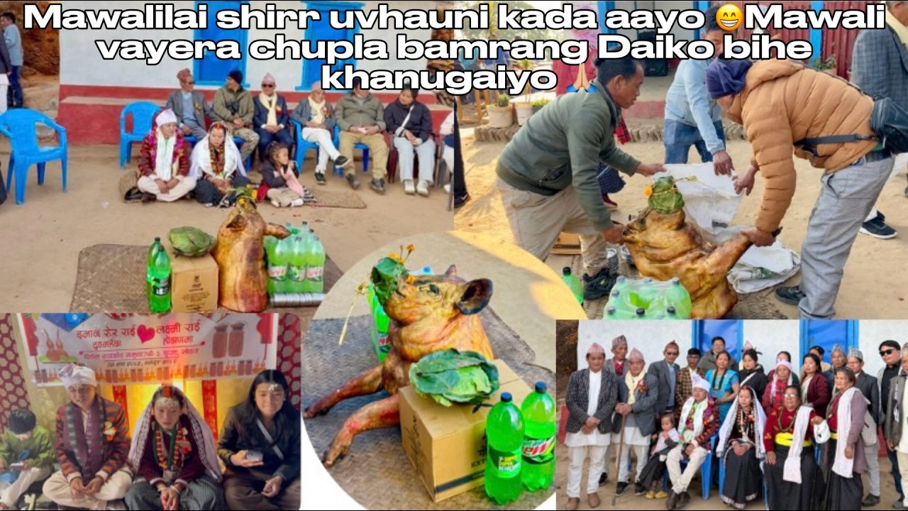 Mawali vayera bihe khanu janu vagyemanile matra paucha renta😁 || Mawalilai sungura katro thulo😱