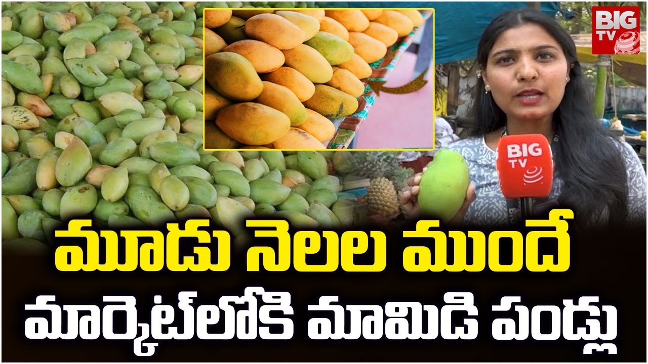 మూడు నెలల ముందే మార్కెట్ లోకి మామిడి పండ్లు | Early Mango Season Hits Markets | Hyderabad | BIGTV