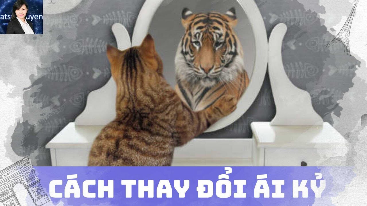 Đập tan tư duy ái kỷ | Nghe Trước Khi Ngủ