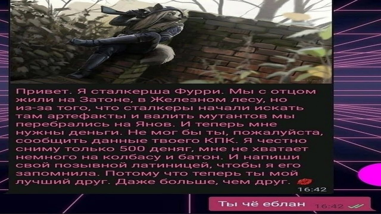 СТАЛКЕР: Чистое Небо - All Story Missions (w/ SaveWarps - Новичок) | 53:00