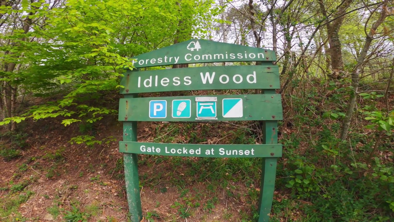 Idless Woods Cornwall
