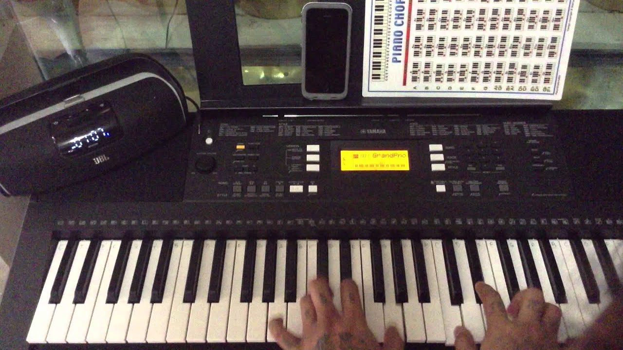 Roots reggae music - rebelution keyboard cover
