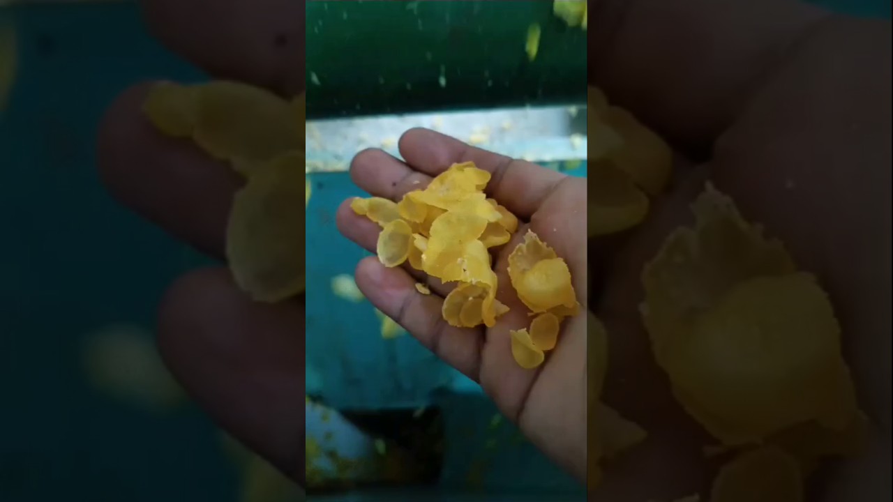 Makka Poha Manufacturing🌽🔥🔥#poha #makka #shorts #ytshort