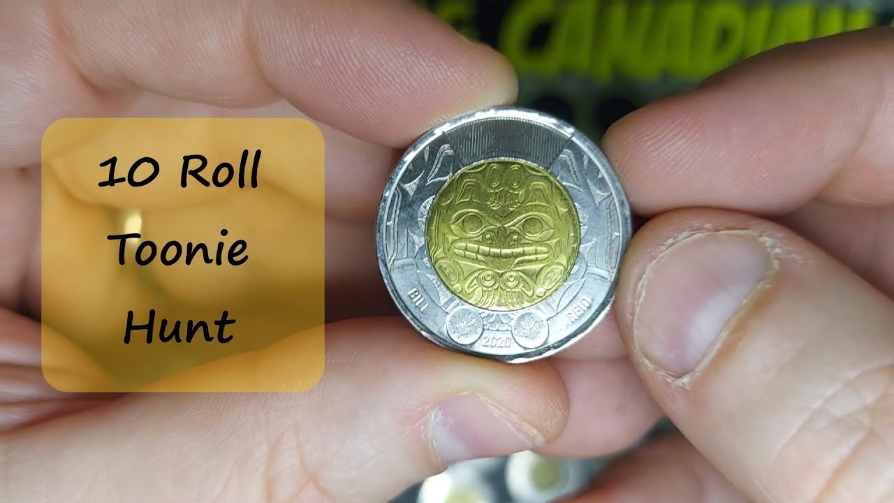 10 Roll Toonie Hunt