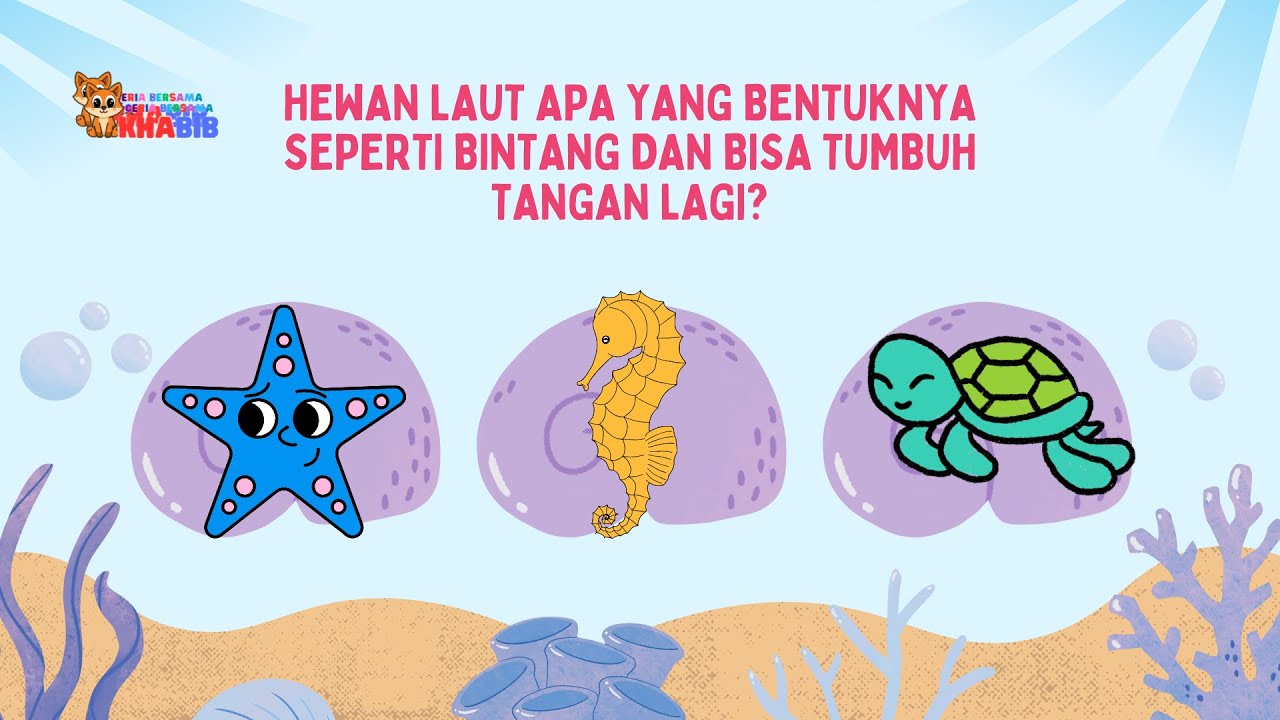 Hewan laut apa yang ini? ayoo tebak !