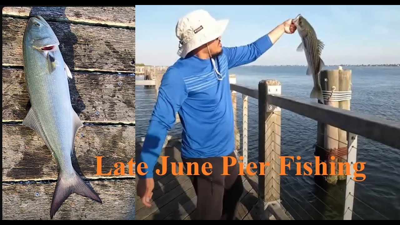 Fishing Robert Moses Pier in Late June 20th 2024! Surprised by the variety of fish species there!