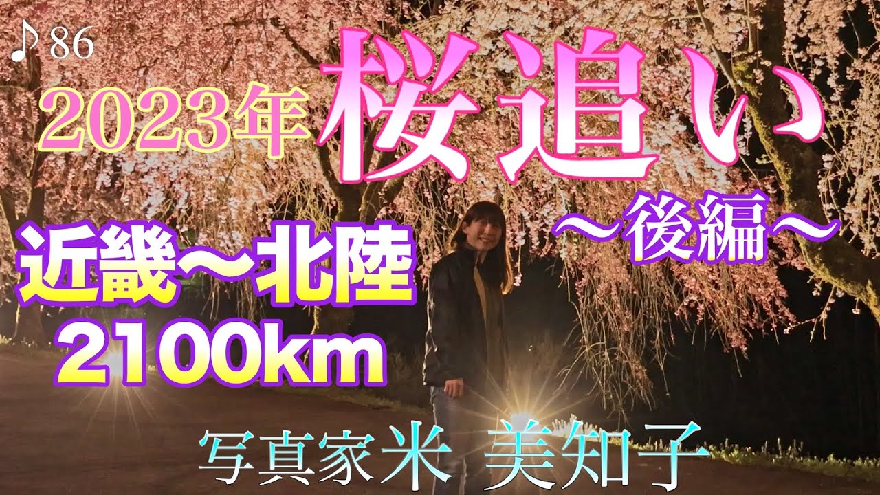 【桜撮影】2023年桜追い♪《後編》 駆け足の桜を追って近畿・北陸2100km！