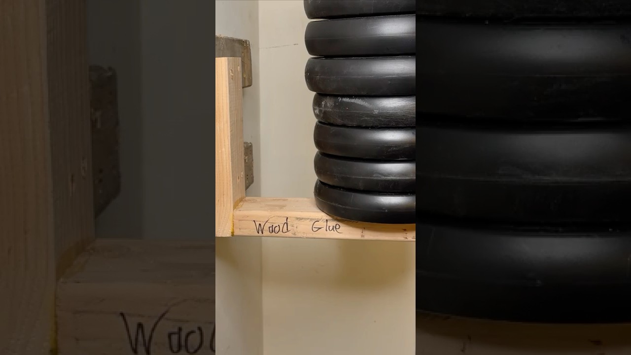 Почему самый крепкий сустав не всегда самый лучший