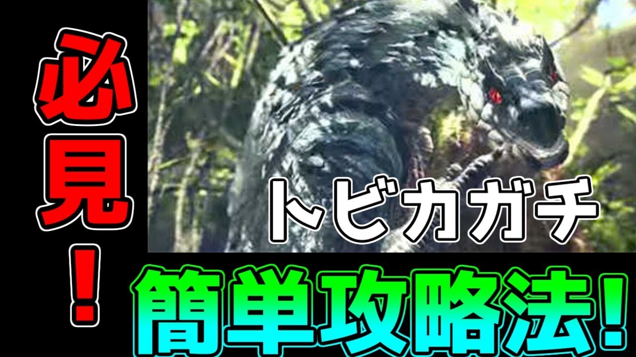 【MHW】モンスター別攻略動画　トビカガチ編【攻略】