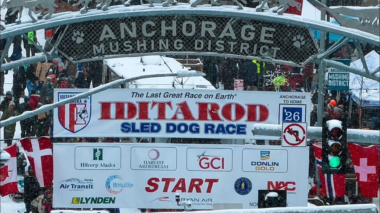 Iditarod 2026
