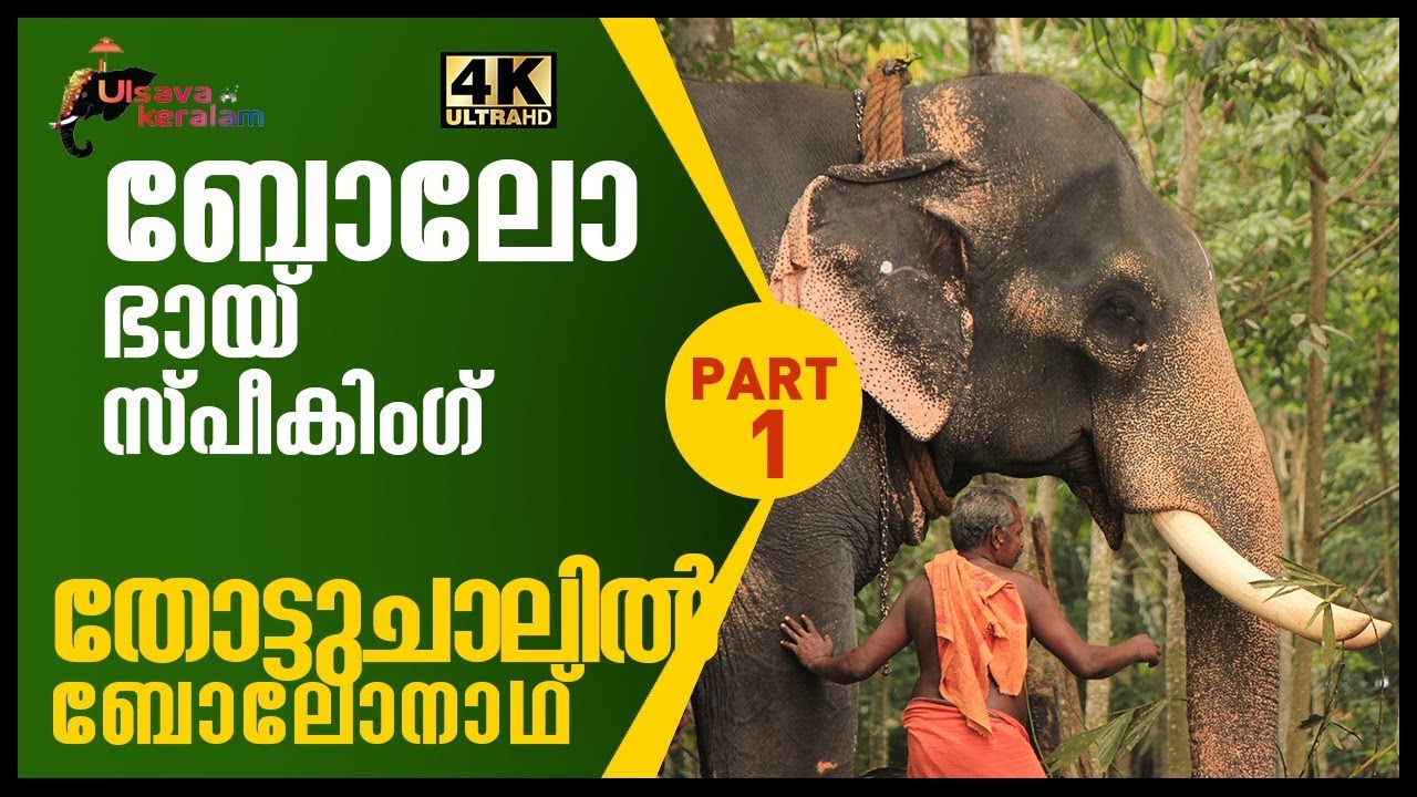Elephant having good contact with police|പോലീസിലോക്കെ പിടിപാടുള്ള ആന|Thottuchalil Bolonath|EPI 41